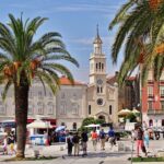 croatia, nature, split, historic center, europe, summer, palm trees