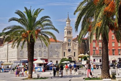 croatia, nature, split, historic center, europe, summer, palm trees