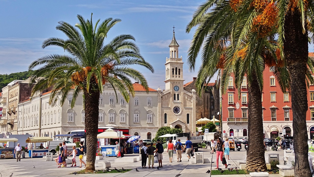 croatia, nature, split, historic center, europe, summer, palm trees